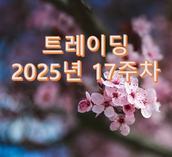2025년 17주차