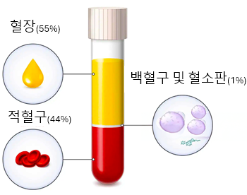 혈액의 구성