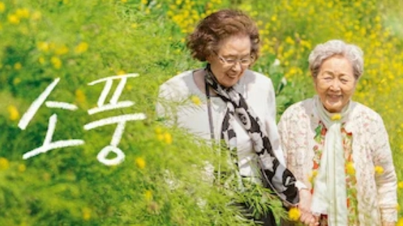 소풍