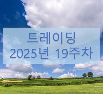 트레이딩 19주차