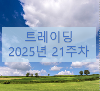 트레이딩 2025년 21주차