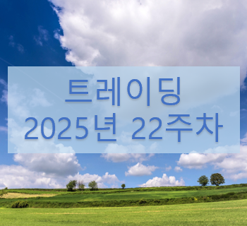 2025년 22주차