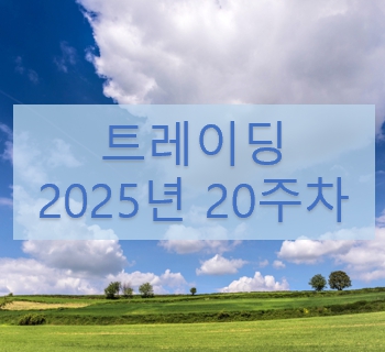 트레이딩 로그-2025년 20주차