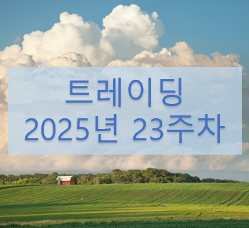실현손익 25년 23주차